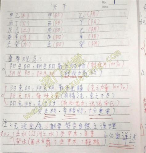 9畫字金 罗一鸣八字